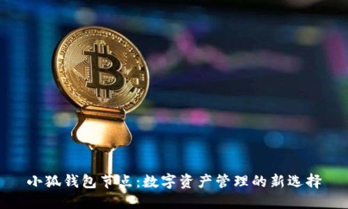 小狐钱包节点：数字资产管理的新选择