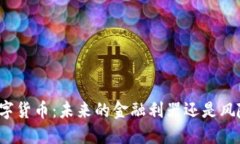 没加密的数字货币：未来