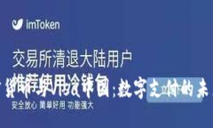 : 加密货币与Visa中国：数