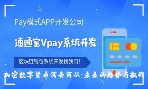 加密数字货币何去何从：未来的趋势与挑战