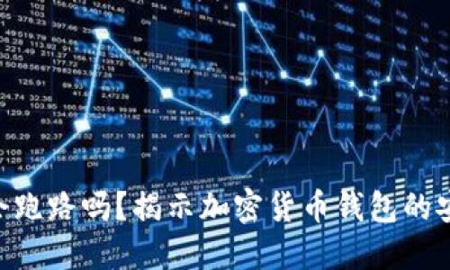 MetaMask会跑路吗？揭示加密货币钱包的安全性与风险