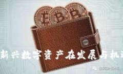 广西加密货币：新兴数字