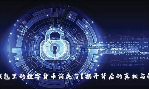 : 小狐钱包里的数字货币消失了？揭开背后的真相与解决方案