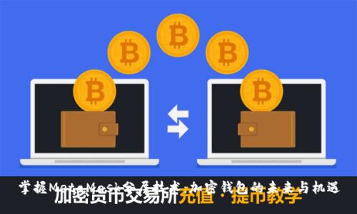 掌握MetaMask分层技术：加密钱包的未来与机遇