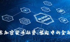 : 中东加密货币融资：崛起