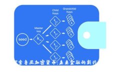 探索鲁亚加密货币：未来