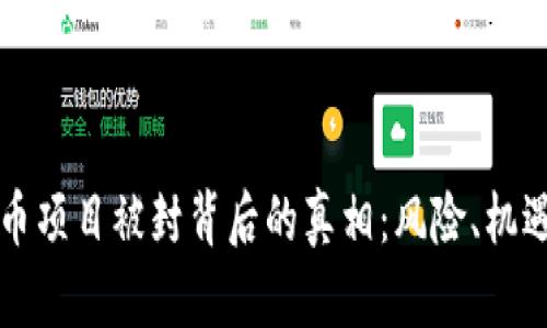 揭开加密货币项目被封背后的真相：风险、机遇与未来展望
