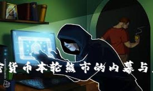 揭示加密货币本轮熊市的内幕与未来展望