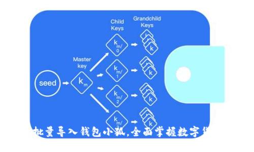 如何高效批量导入钱包小狐，全面掌握数字货币资产管理