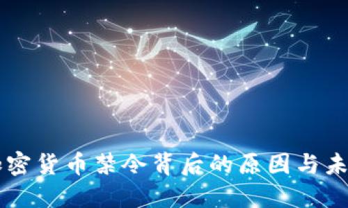 国内加密货币禁令背后的原因与未来展望