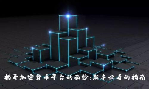 揭开加密货币平台的面纱：新手必看的指南