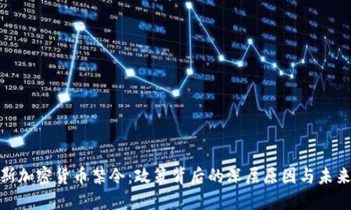 俄罗斯加密货币禁令：政策背后的深层原因与未来影响
