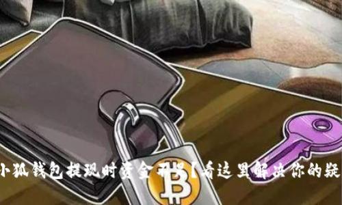 : 小狐钱包提现时资金不足？看这里解决你的疑惑！