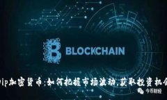 Dip加密货币：如何把握市