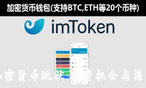  
埃及加密货币现状：投资机会与法律局限