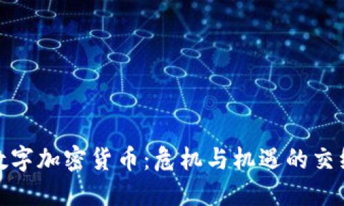 数字加密货币：危机与机遇的交织