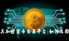 探索土耳其加密货币交易