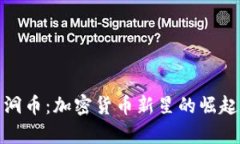 探索黑洞币：加密货币新