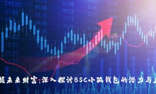 掌握未来财富：深入探讨BSC小狐钱包的潜力与应用