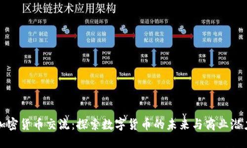 加密货币交流：探索数字货币的未来与商业潜力