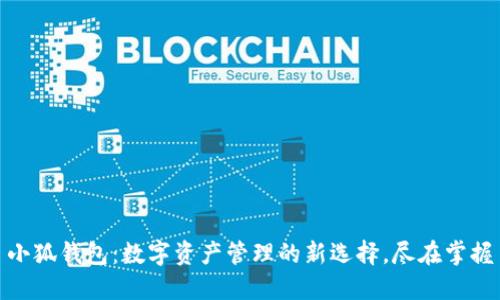 小狐钱包：数字资产管理的新选择，尽在掌握