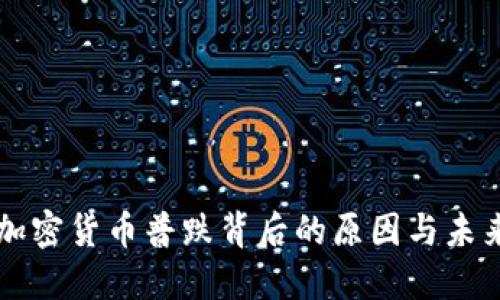 全球加密货币普跌背后的原因与未来展望