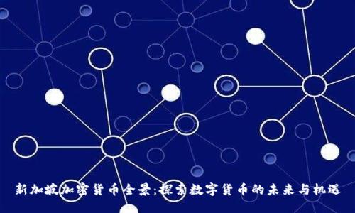 新加坡加密货币全景：探索数字货币的未来与机遇