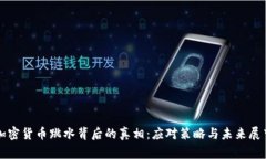 加密货币跳水背后的真相
