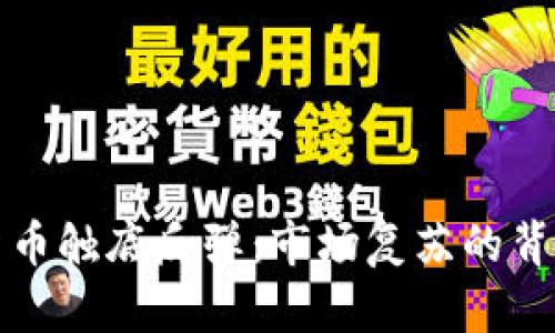 加密数字货币触底反弹：市场复苏的背后逻辑分析