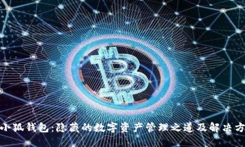 : 小狐钱包：隐藏的数字资产管理之道及解决方案