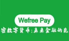 SDW加密数字货币：未来金