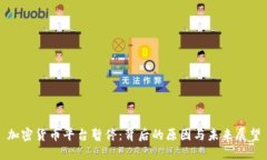 加密货币平台暂停：背后
