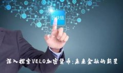 深入探索VELO加密货币：未