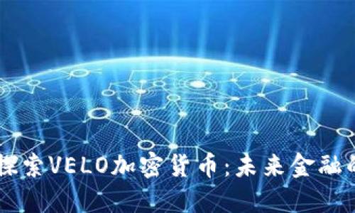 深入探索VELO加密货币：未来金融的新星