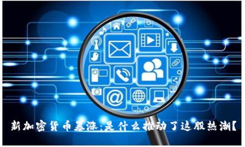 新加密货币暴涨：是什么推动了这股热潮？