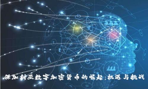 保加利亚数字加密货币的崛起：机遇与挑战