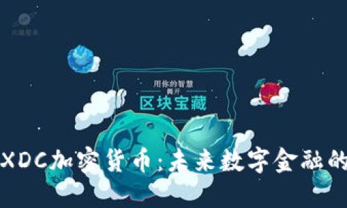 揭秘XDC加密货币：未来数字金融的新宠