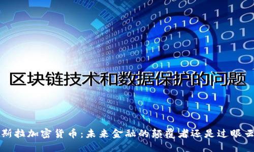  特斯拉加密货币：未来金融的颠覆者还是过眼云烟？