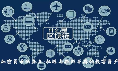 美国加密货币的未来：机遇与挑战并存的数字资产领域
