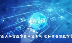 揭秘全球最大加密数字货