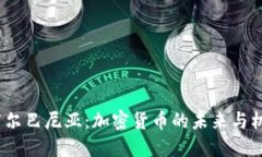  阿尔巴尼亚：加密货币的