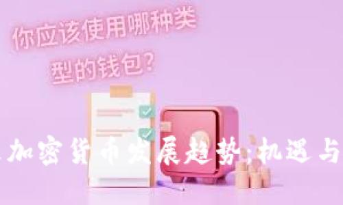 未来加密货币发展趋势：机遇与挑战