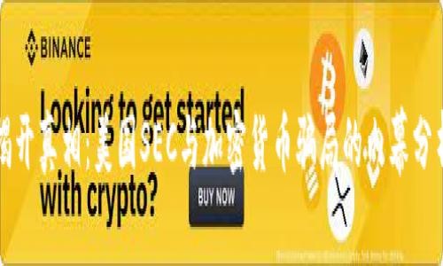 揭开真相：美国SEC与加密货币骗局的内幕分析