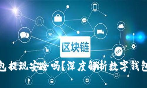 小狐钱包提现安全吗？深度解析数字钱包安全性