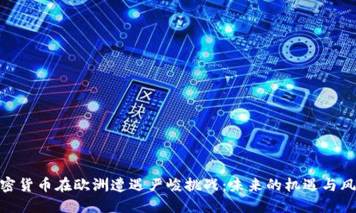 加密货币在欧洲遭遇严峻挑战：未来的机遇与风险
