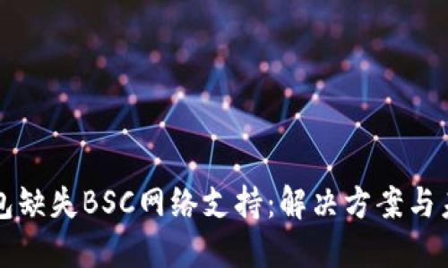 小狐钱包缺失BSC网络支持：解决方案与未来展望