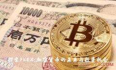 探索PKEX：加密货币的未来