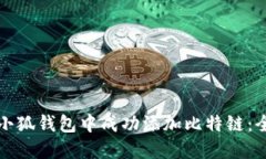 如何在小狐钱包中成功添