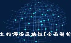 MetaMask支持哪些区块链？全面解析与使用指南