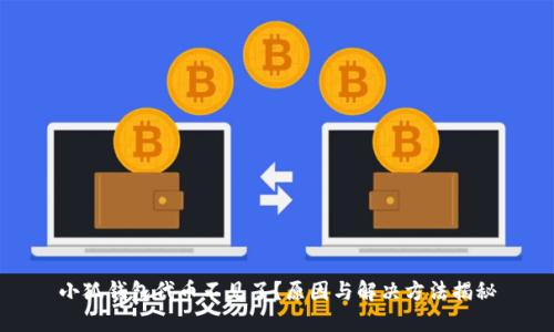 小狐钱包代币不见了？原因与解决方法揭秘
